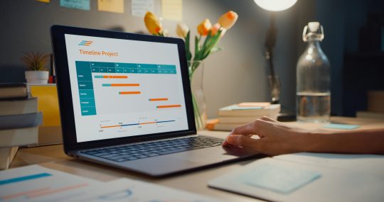 Netsuite Implementation Netsuite Implementation, Project Planning